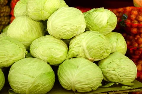 Cabbage lies on the counter 写真素材