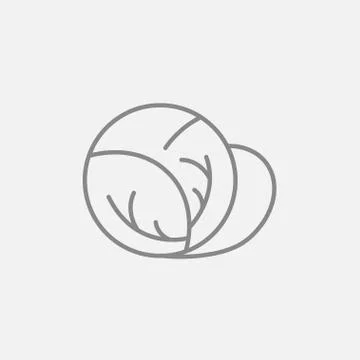 Cabbage line icon Ilustración de archivo