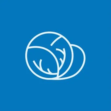Cabbage line icon Stock Illustration