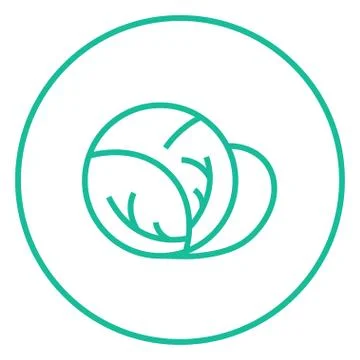 Cabbage line icon Stock Illustration