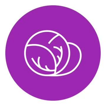 Cabbage line icon Stock Illustration