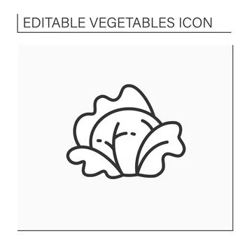Cabbage line icon Stock Illustration