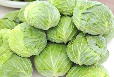 Cabbage in market Foto stock