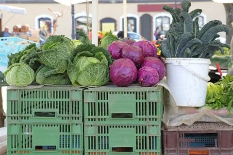 Cabbage at Market Stock Photos