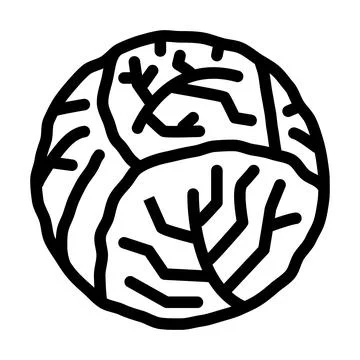 Cabbage one whole line icon vector illustration Ilustración de archivo