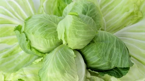 Cabbage. Part 3 Stock Footage 20591994