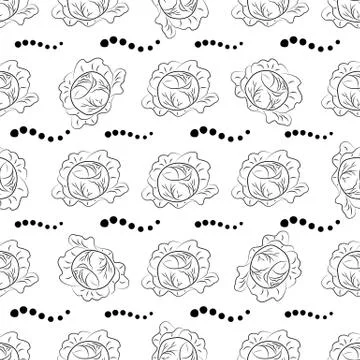 Cabbage pattern coloring. Black outline Stock-Illustration
