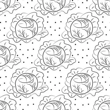 Cabbage pattern contour coloring with dots Stockillustratie