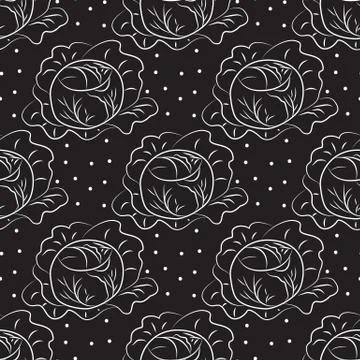 Cabbage pattern. Contour of white color on a dark background Stock Illustration