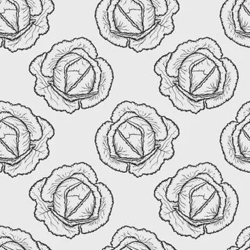 Cabbage pattern Stock-Illustration