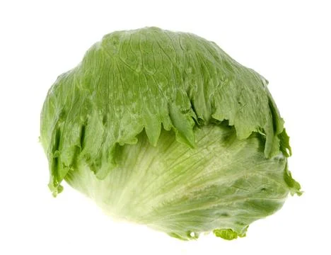 Cabbage Stock Photos
