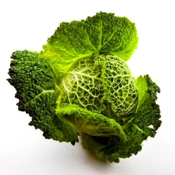 Cabbage Stock Photos