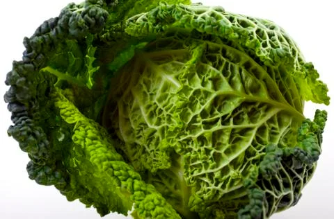 Cabbage Stock Photos