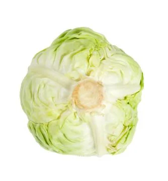 Cabbage Stock Photos