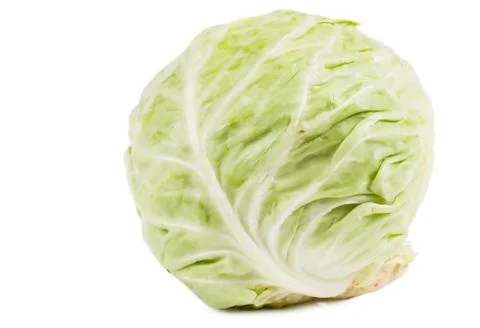 Cabbage Stock Photos