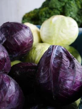 Cabbage Stock Photos