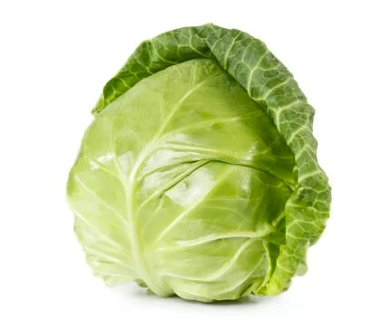 Cabbage Stock Photos