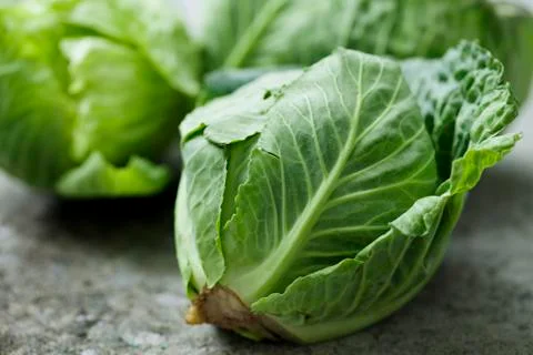 Cabbage Stock Photos