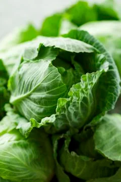 Cabbage Stock Photos