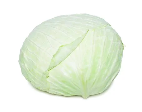 Cabbage Foto stock