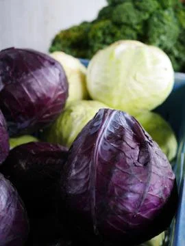 Cabbage Stock Photos