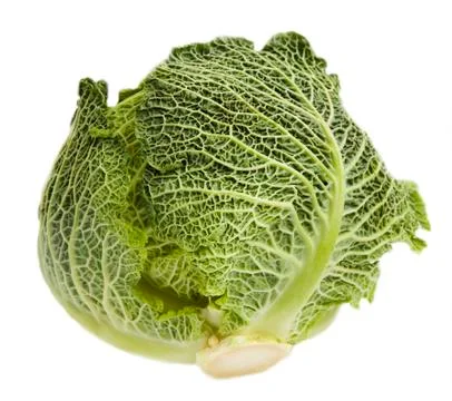Cabbage Stock Photos