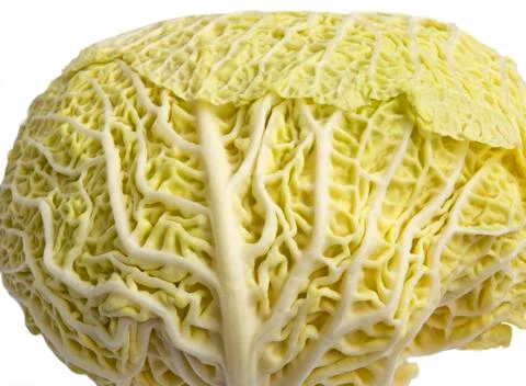 Cabbage Stock Photos