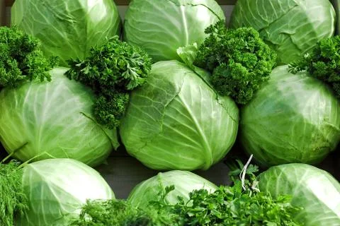 Cabbage Stock Photos