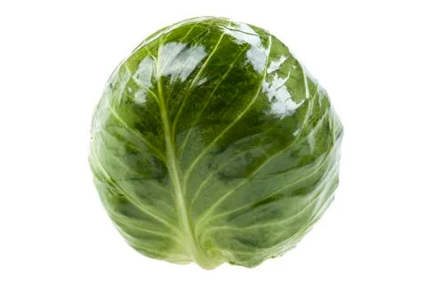 Cabbage Foto stock