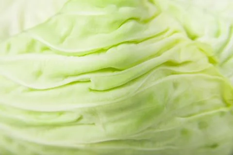 Cabbage Stock Photos