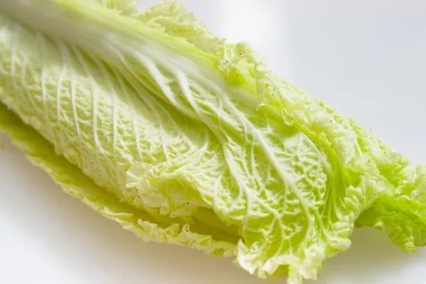 Cabbage Stock Photos