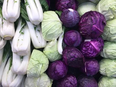 Cabbage Stock Photos