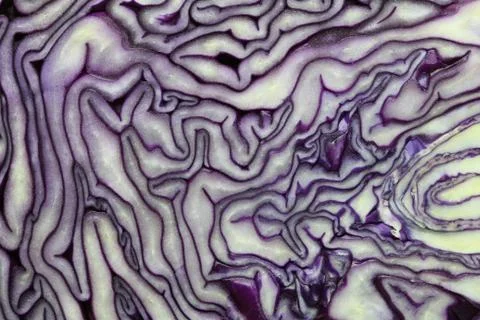 Cabbage Stock Photos