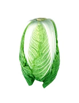 Cabbage Stock Photos