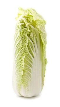 Cabbage Stock Photos