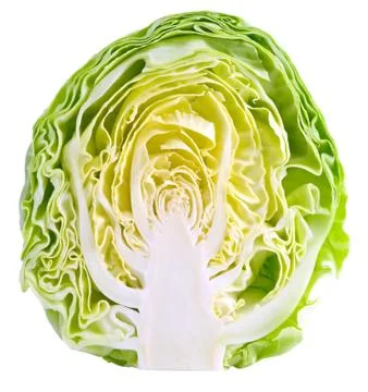 Cabbage. Stock Photos