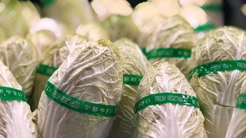 Cabbage 写真素材