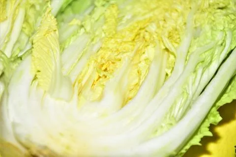 Cabbage Stock Photos