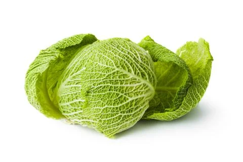 Cabbage Stock Photos