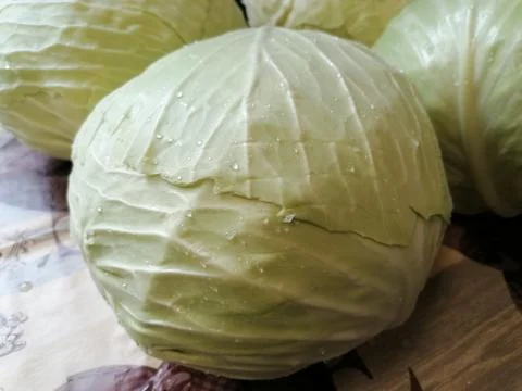 Cabbage Stock Photos
