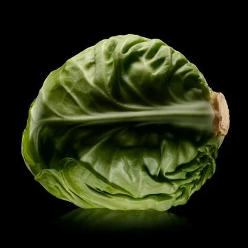 Cabbage Stock Photos