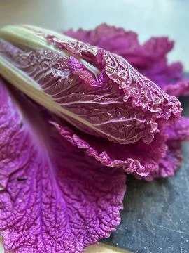 Cabbage Stock Photos