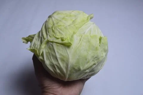 Cabbage Stock Photos