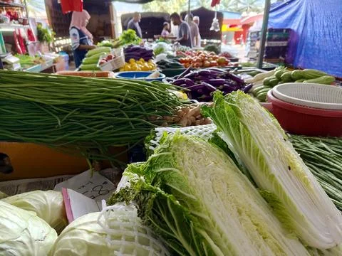 Cabbage Stock Photos