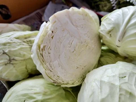 Cabbage Stock Photos