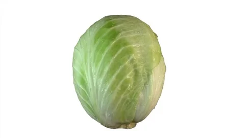 Cabbage promotion, seamless looping, isolated on white background Stock Footage 81641671