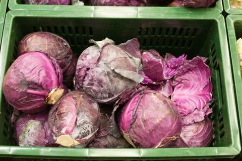 Cabbage red background Foto stock