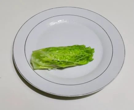 Cabbage rolls in a plate Stock Photos