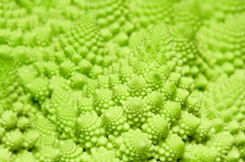 Cabbage romanesco background Stock Photos