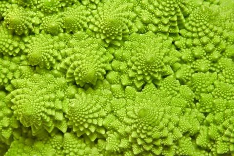Cabbage romanesco background Stock Photos